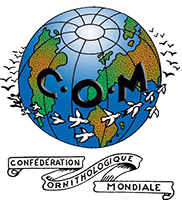 C.O.M